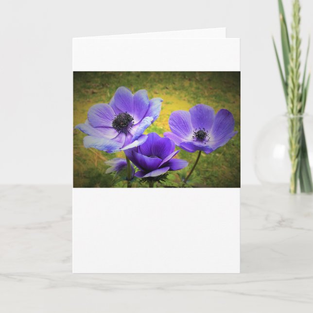 Anemone, card (Front)