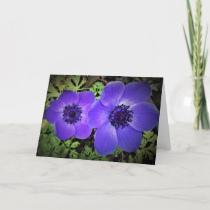 Anemone, card