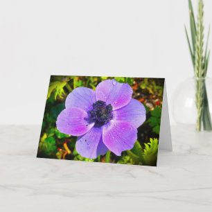Anemone, card