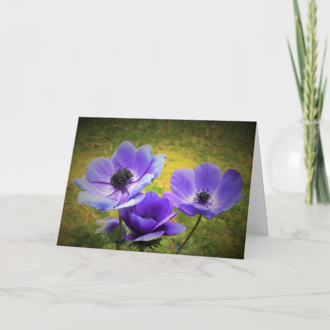 Anemone, card (Front)