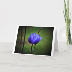 Anemone, card