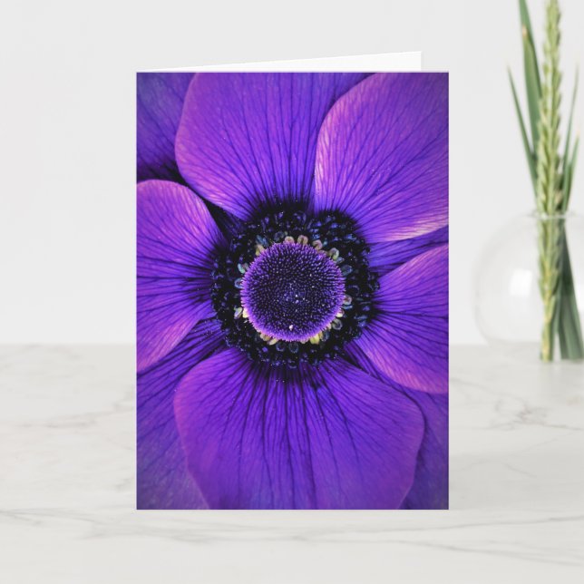 Anemone, card (Front)