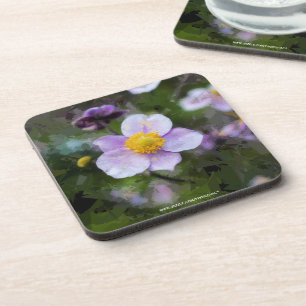 Anemone Coaster