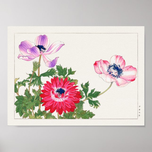 Anemone coronaria by Tanigami Konan Poster (Front)