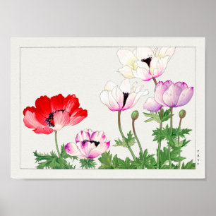 Anemone coronaria by Tanigami Konan Poster
