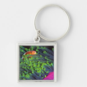 Anemone Fish Hiding In Anemone, Mozambique 2 Key Ring