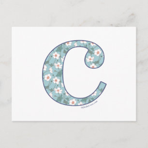 Anemone Flower C Postcard