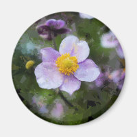 Anemone