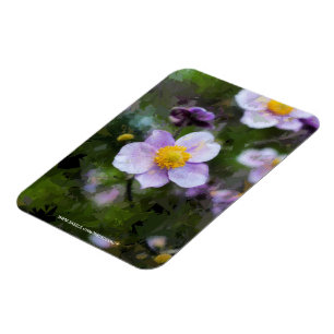 Anemone Magnet