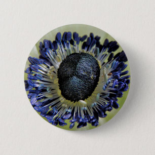 Anemone Mistral Panda Badge