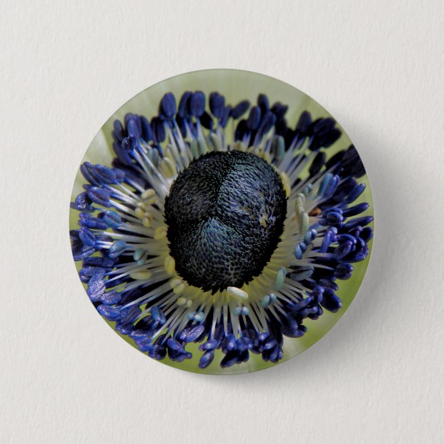 Anemone Mistral Panda Badge (Front)