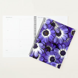 Anemone Planner