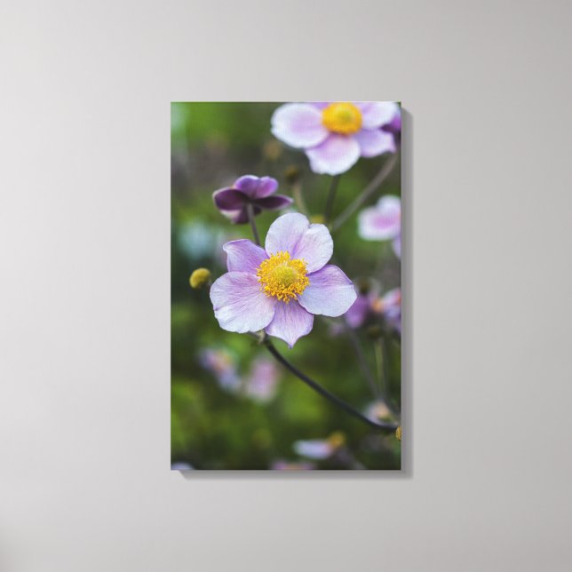 Anemone Wrapped Canvas Print (Front)
