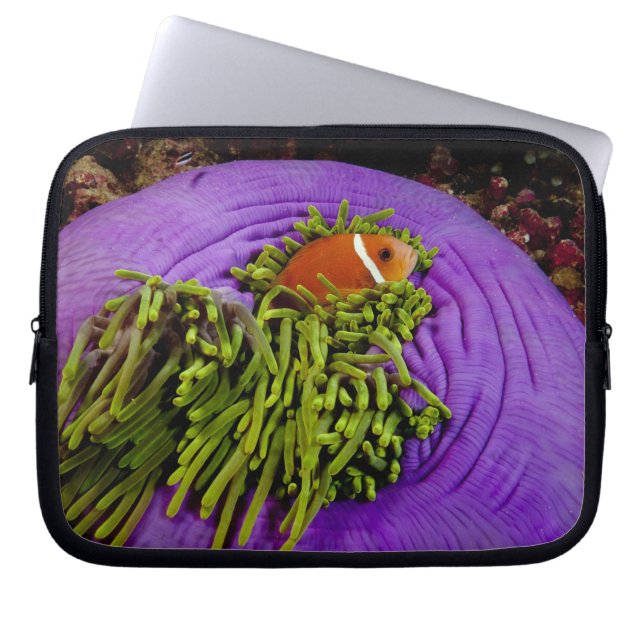 Anemonefish and large anemone laptop sleeve (Front)