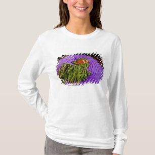 Anemonefish and large anemone T-Shirt