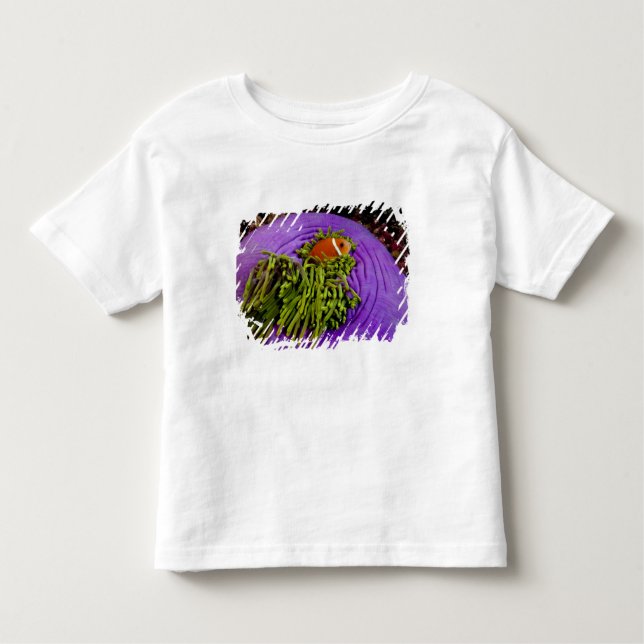 Anemonefish and large anemone toddler T-Shirt (Front)