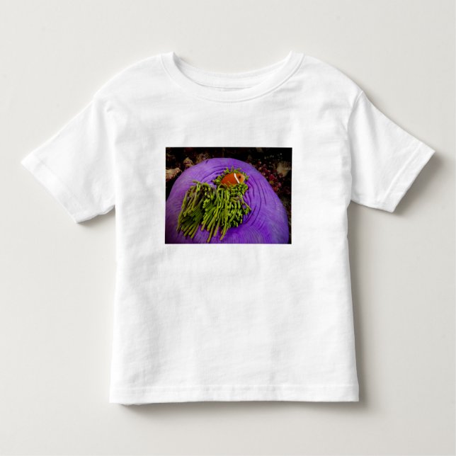 Anemonefish and large anemone toddler T-Shirt (Front)