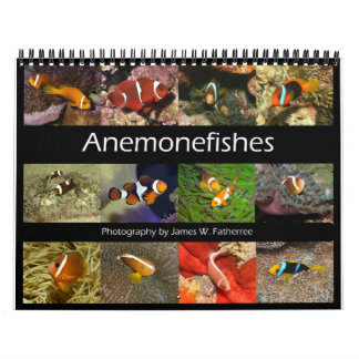 Anemonefishes Wall Calendar by J.W. Fatherree.
