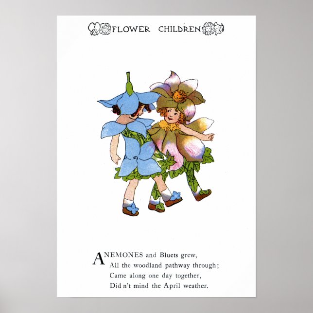 Anemones and Bluets Poster (Front)