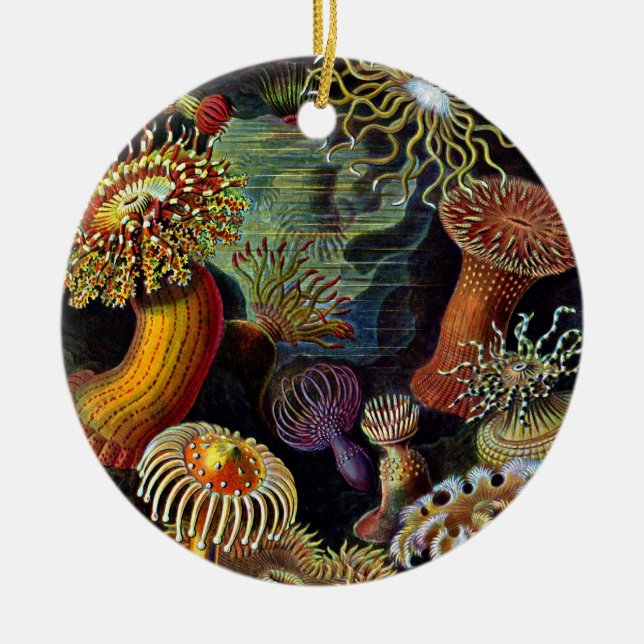 Anemones from Under the Sea Classic Round Sticker Ceramic Tree Decoration (Front)