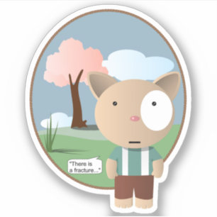 Anesthesia Orthopedics There Is A Fracture