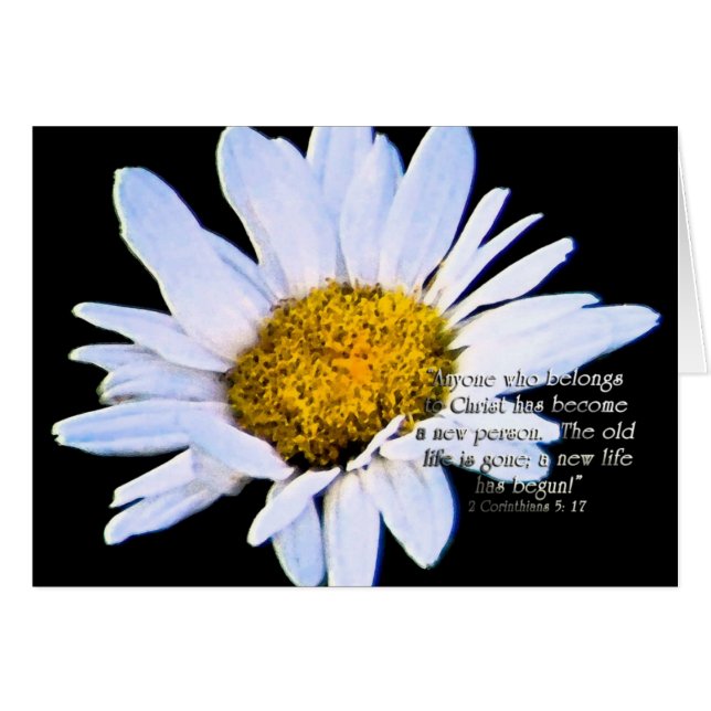 AnewlifehasbegunZazzle (Front Horizontal)