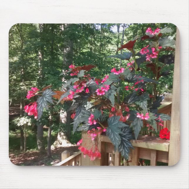 Angel Begonia with Woods in Background Mouse Pad (Front)