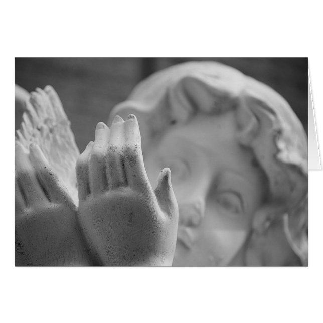 Angel by Shirley Taylor (Front Horizontal)