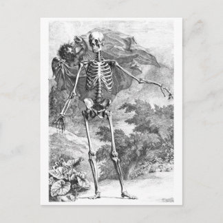 Angel covering a standing skeleton postcard