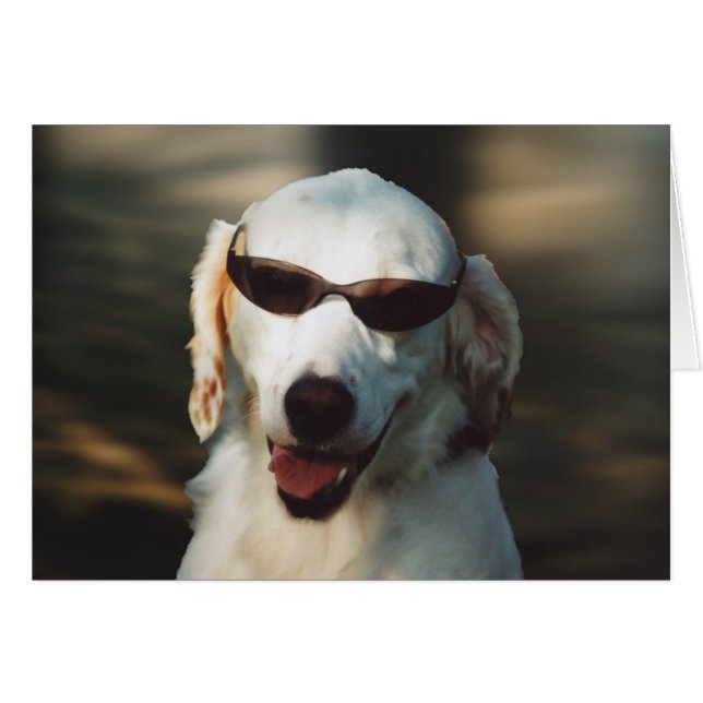 Angel Eyes (Front Horizontal)