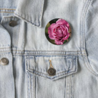 Angel Face Rose