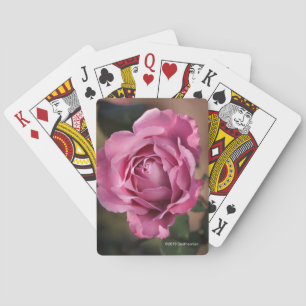 Angel Face Rose Playing Cards