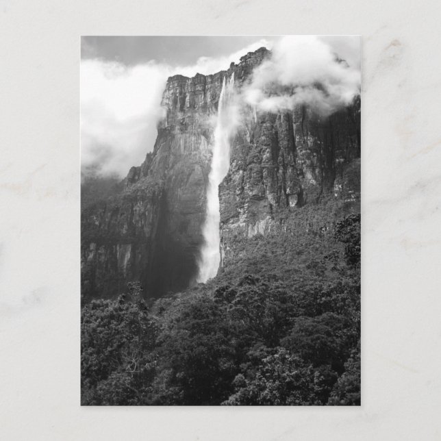 Angel Falls in Black & White Postcard (Front)