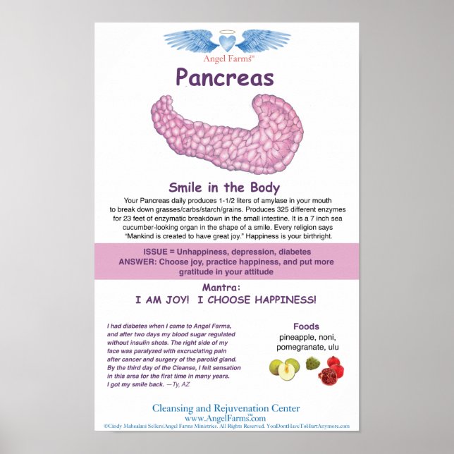 Angel Farms Pancreas Chart (Front)
