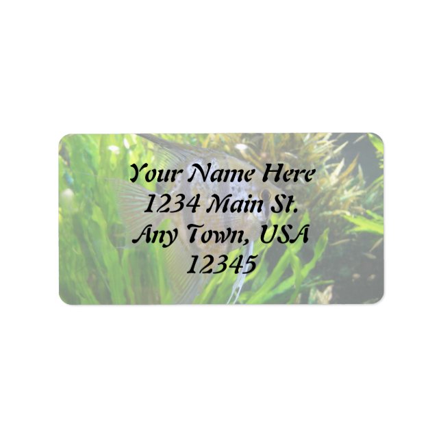 Angel Fish Label (Front)