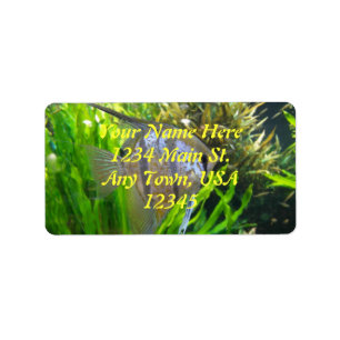 Angel Fish Label