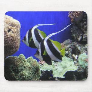 Angel Fish Mouse Pad