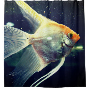 Angel Fish Shower Curtain
