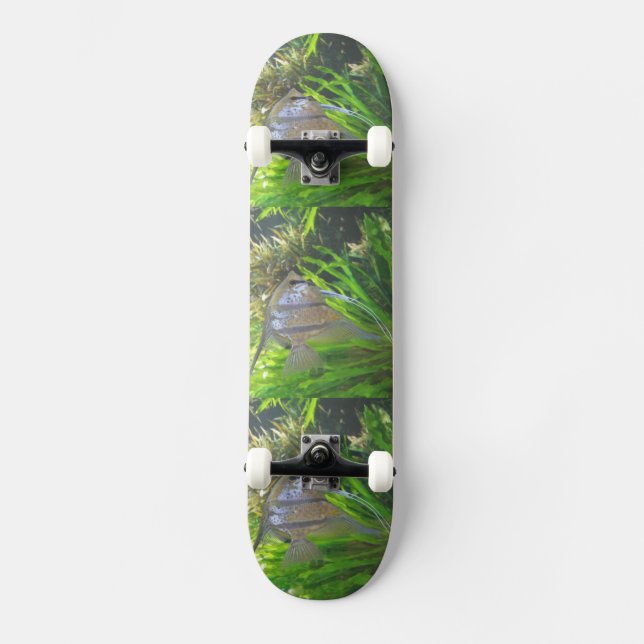 Angel Fish Skateboard (Front)