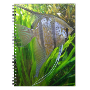 Angel Fish Spiral Notebook