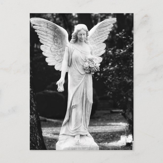 Angel holding flowers black and white photography  postcard (Front)