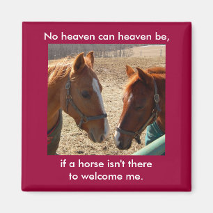 Angel Horses - magnet