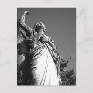 Angel in Black and White Postcard