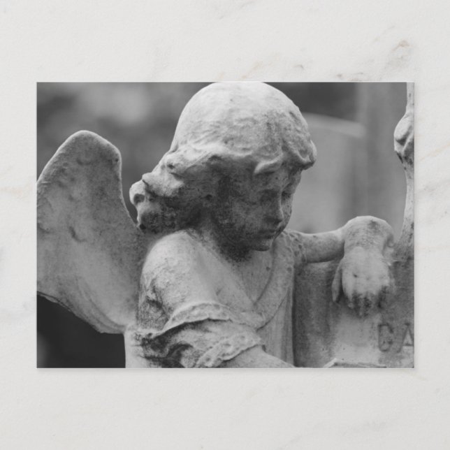 Angel in Cemetery Postcard (Front)
