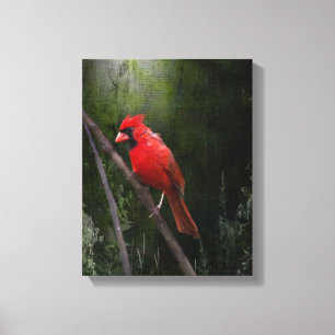 Angel in Red Canvas Print