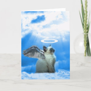 Angel Kitten Gifts Card