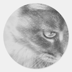 "Angel Kitty" Portrait Classic Round Sticker