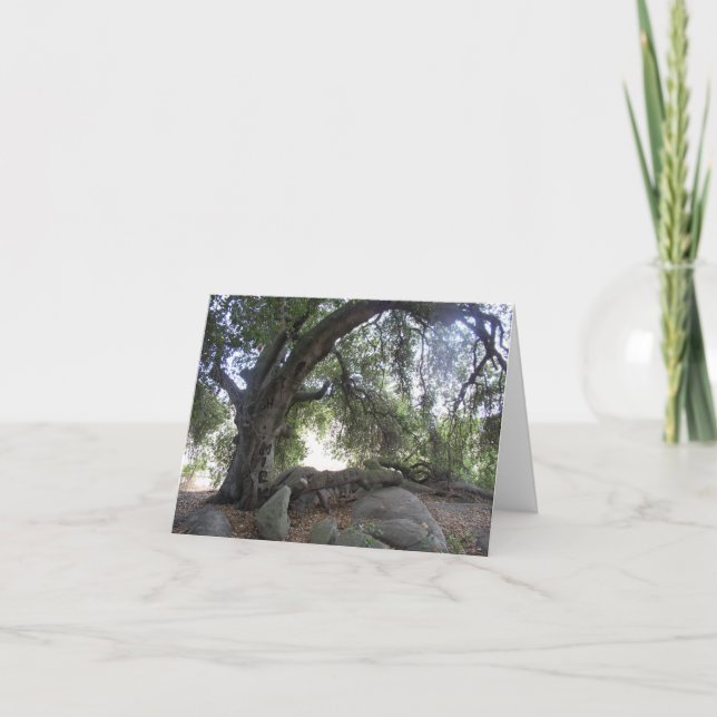 Angel Lights Card (Front)