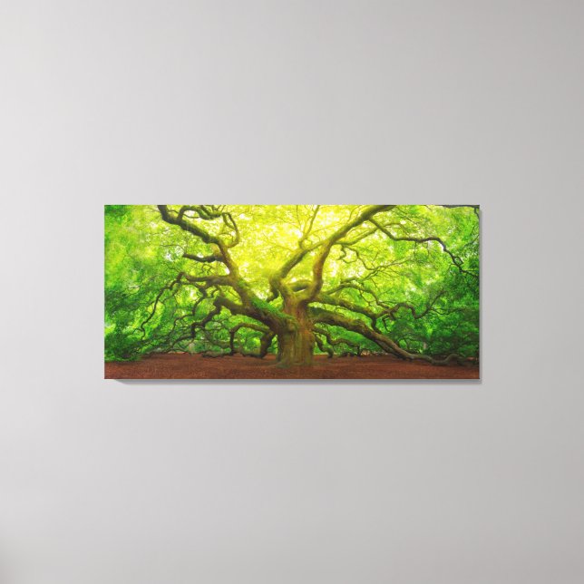 Angel Oak Canvas Print (Front)
