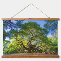 Angel Oak